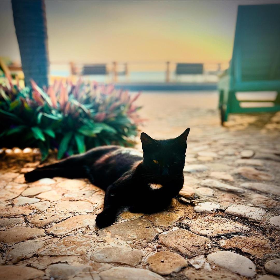 B&B Pieds Dans L'Eau Popenguine Exterior foto
